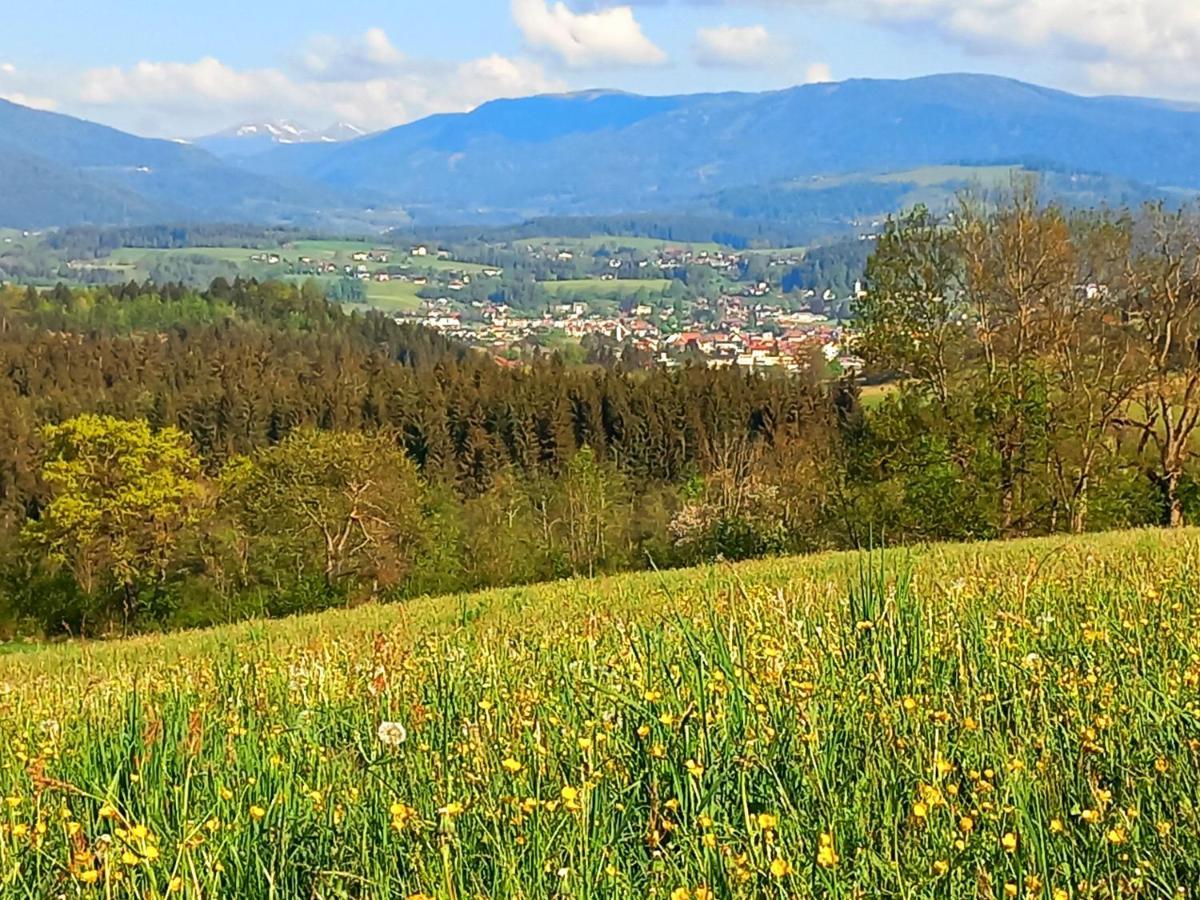 Ferienhaus Kaerntnergmiat Feldkirchen in Kärnten エクステリア 写真